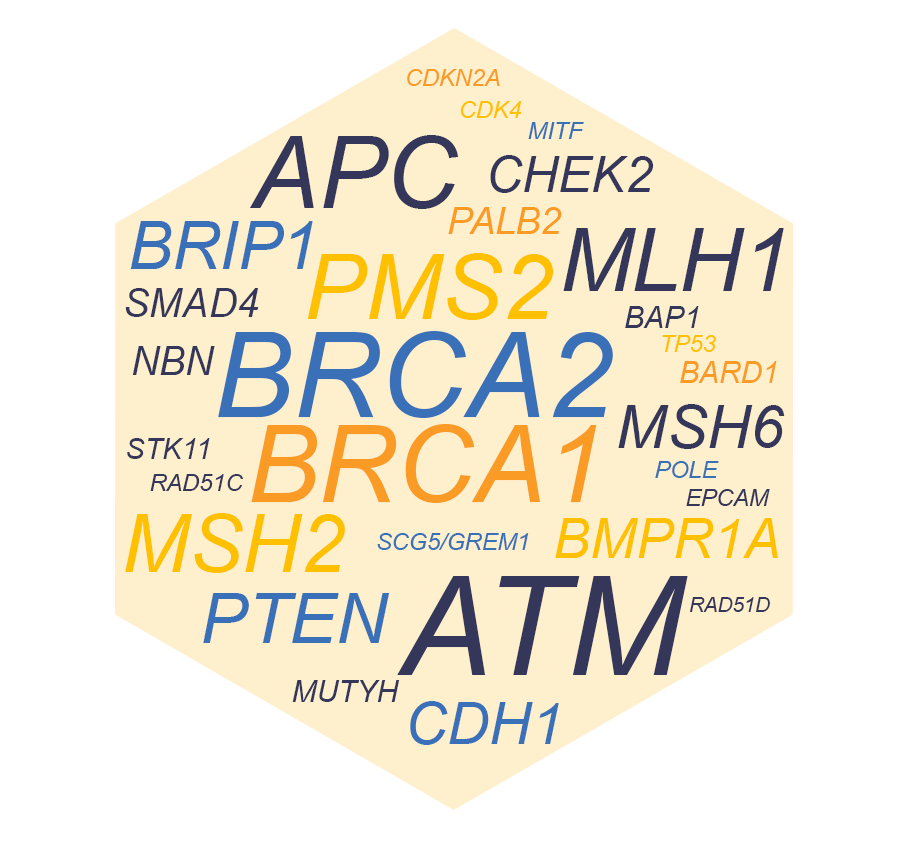 D001 target genes word cloud.