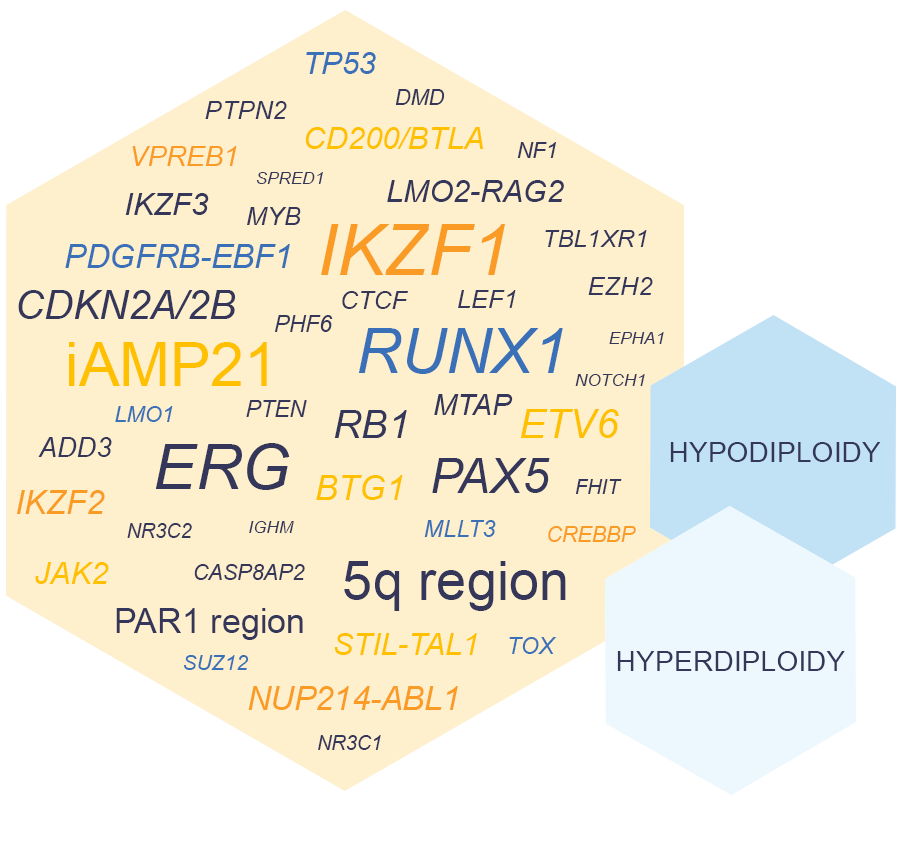 D007 target genes word cloud.