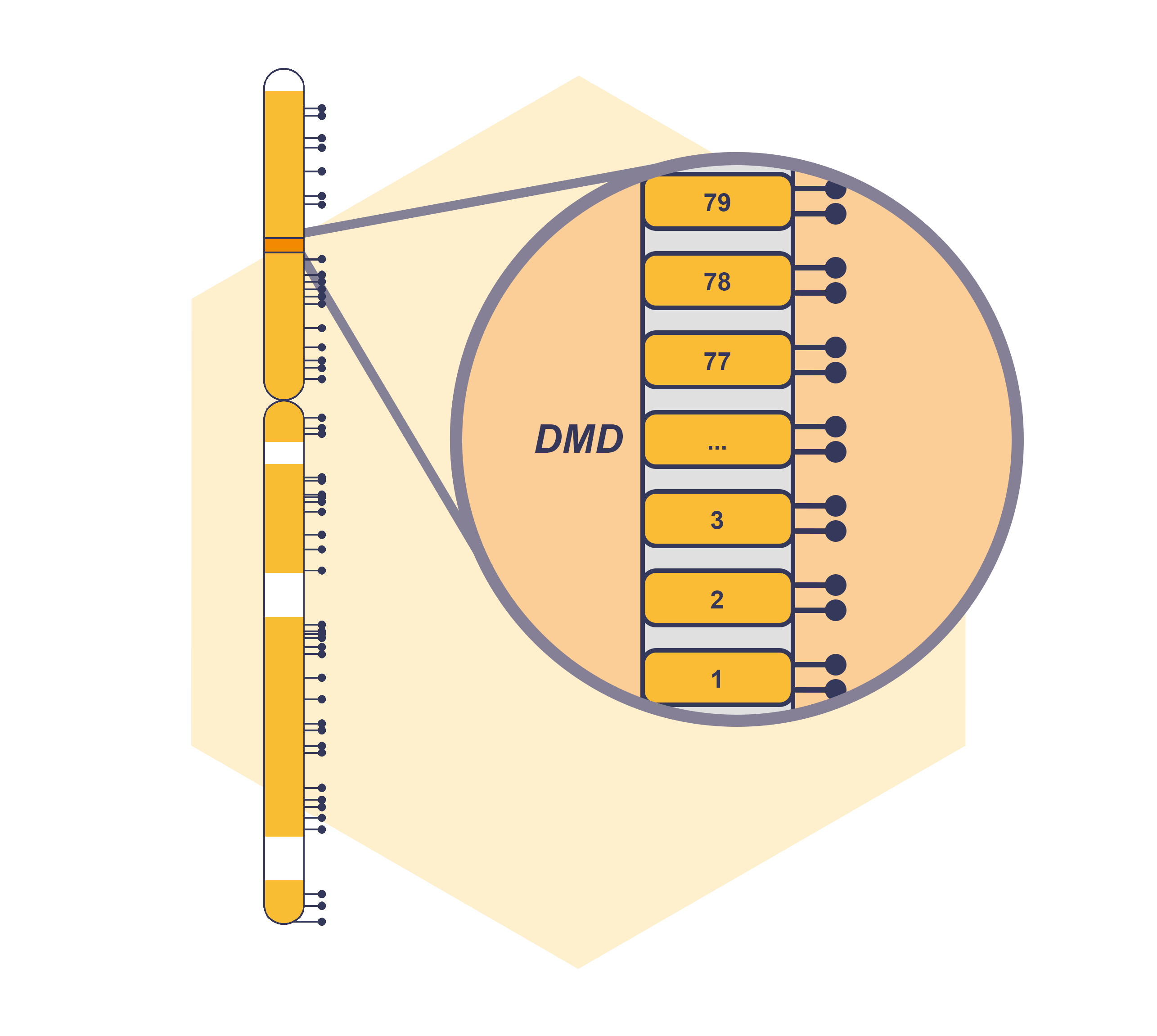 D008 schematic.