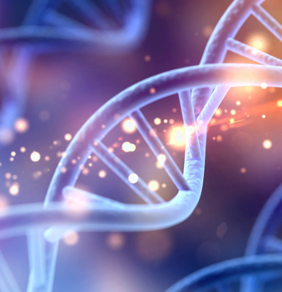 DNA helix. DNA helix.