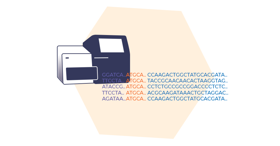 Amplicon sequencing.