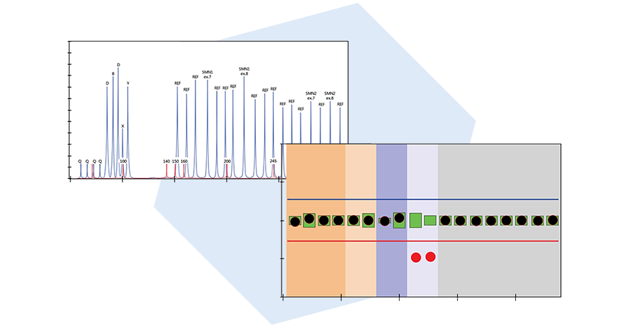 Data visualisation.